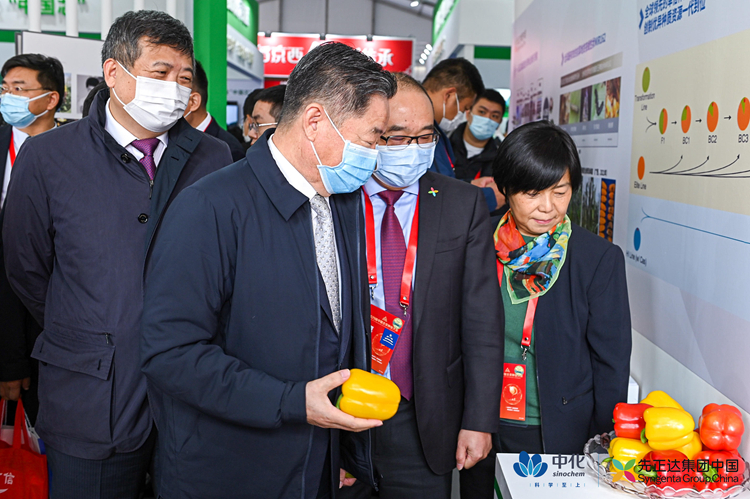 OEŷ��|�ٷ���վ